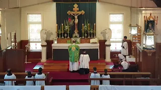 SSPXNZLIVE Livestream - 3 February 2019 High Mass