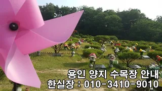 용인 양지 수목장 안내