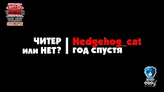 ЧИТЕР или НЕТ?  |  Hedgehog_cat год спустя