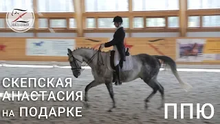 Скепская Анастасия на Подарке. Выездка. Предварительный приз Юноши -  62.611%