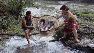 Build Fish Trap on Waterfall - Catch Many Fish, OFF GRID LIVING