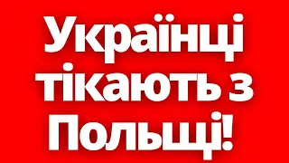 Поляки свого добились! Українці тікають з Польщі!