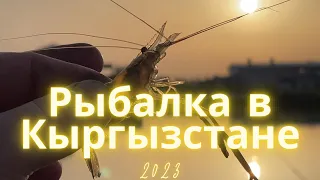 Рыбалка 2023 год / Рыбалка в Кыргызстана село Биримдик