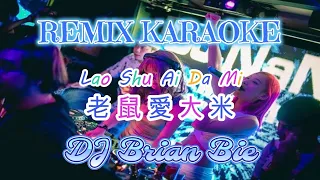Remix Karaoke || No Vocal || Lao Shu Ai Da Mi - 老鼠爱大米 || By Dj Brian Bie