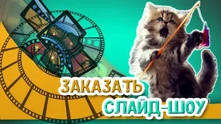 Котята [ Слайд-шоу ] |  Фильм-презентация "Слайд Шоу"