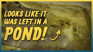 Years of Built up Mildew and Algae Gets Washed Away | Super Relaxing Satisfying Video