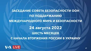 Live: Заседание Совета Безопасности ООН – шесть месяцев со дня нападения России на Украину