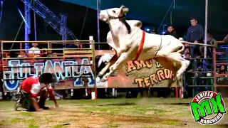 ¡¡¡NO PUDIERON CONTRA ESTOS TOROS!!! RANCHO LOS DESTRUCTORES EN MAGDALENA APASCO ETLA OAXACA 2017