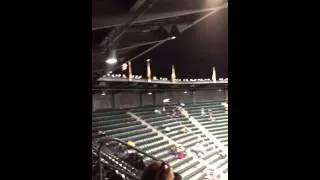 Seagulls going wild at the Giants game