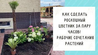 СОЗДАЕМ ЦВЕТНИК В ТЕНИСТОМ УГОЛКЕ САДА! КАКИЕ РАСТЕНИЯ ЛУЧШЕ ВЫБРАТЬ