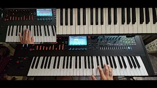 SANDRA - MARIA MAGDALENA Full Keyboard Cover on Roland Fantom