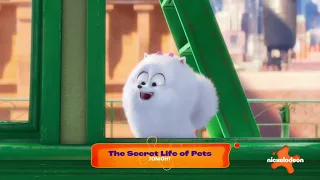 The Secret Life of Pets Promo - June 23, 2023 (Nickelodeon U.S.)