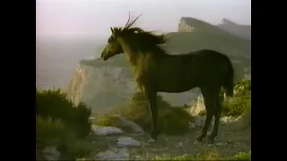 Q13 Thief and Black Stallion promo from 1986