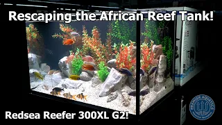 Rescaping our "African Reefer Tank"!? Redsea Reefer 300XL G2!