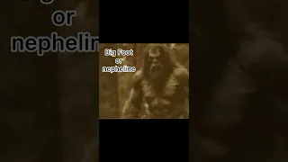 Rare Bigfoot footage ( HE’S MASSIVE )