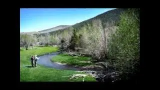 FLY FISHING SOUTHERN UTAH  ( boulder mtn area )