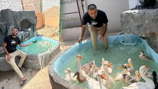 Sab Ducks Ko Apny Old Fountain Main swimming Krai😍Bht Mza Aya