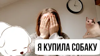 Купила собаку 😄 до сих пор в шоке )