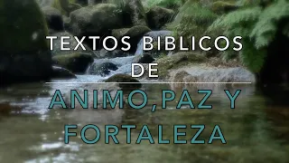 15 TEXTOS BIBLICOS DE ANIMO, PAZ Y FORTALEZA