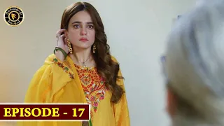 Mein Hari Piya Episode 17 - Top Pakistani Drama