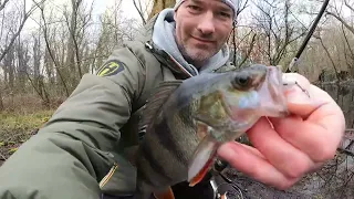 Angeln am Kanal auf Barsch mit Herakles fishing UL-Tackle