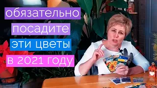 Самые неприхотливые цветы для вашего сада! Ленивая клумба. Как легко посадить многолетники.