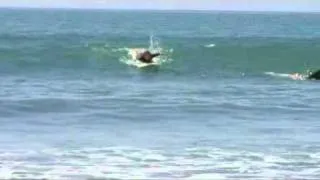 surfing in NZ