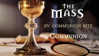 The Mass: XV - Communion Rite - Communion