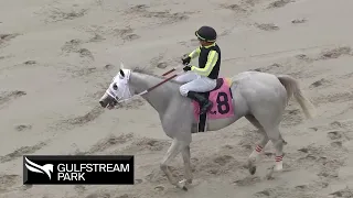 Gulfstream Park Replay Show | October 2, 2022