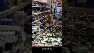 Viral Videos |😨 Woman Shatters Hundreds of Alcohol in a Supermarket 2021 #Shorts