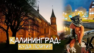 Куда на майские 2024? Потрясающий Калининград! Рыбная деревня и центр города! Часть пятая.