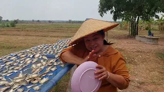 ปลาแดดเดียวสูตรอร่อยและสะอาดทำแบบพื้นบ้านน่ากินสุดๆปลาธรรมชาติ