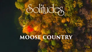 Dan Gibson’s Solitudes - Shorelines | Moose Country