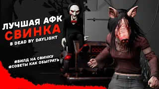 АФК СВИНКА | ЛУЧШАЯ ТАКТИКА НА АМАНДУ / Dead by Daylight