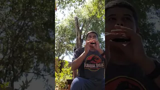 Crossroads Blues Harmonica Improvisation (Harmonica in D)