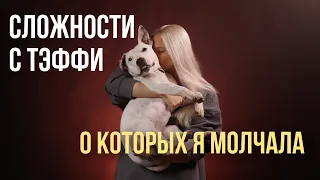 ВСЯ ПРАВДА О ПРИЮТСКОЙ СОБАКЕ | СЛОЖНОСТИ С ГЛУХОЙ ТЭФФИ,  О КОТОРЫХ Я МОЛЧАЛА | ЭТО БЫЛО СЛОЖНО