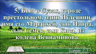 ВидеоБиблия Книга Есфирь с музыкой Бондаренко все главы