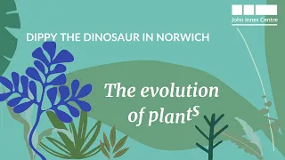 Dippy the Dinosaur in Norwich: The Evolution of Land Plants 🌿