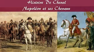 Histoire De Cheval # 1- Napoléon et ses chevaux