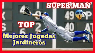 TOP Las  Mejores JUGADAS De Jardineros 2019 [best plays compilation] MLB