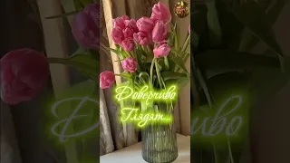 1 марта С Первым днем весны🌿🌷