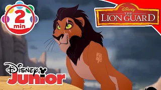 The Lion Guard | Quando sono diventato Scar - Music video  - Disney Junior Italia