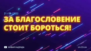 За благословение стоит бороться! (Николай Литвин)