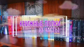 КНИЖНЫЕ ПОЛКИ (3 часть)