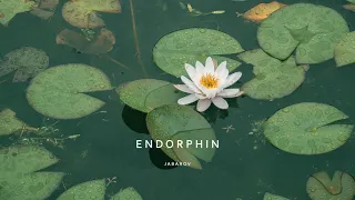 Jabarov - Endorphin