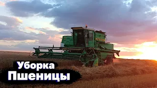 Уборка Пшеницы #2022