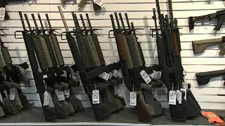 Several Illinois sheriffs claim assault weapons ban violates constitutional right to bear arms