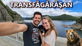 Olandeza a vazut TRANSFAGARASANUL