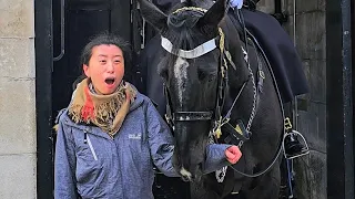 HUNGRY King's Horse BITES a Chinese lady as the Guard tries not to laugh!