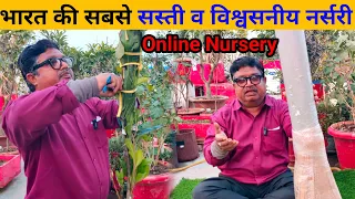 भारत की सबसे सस्ती व विश्वसनीय नर्सरी | cheapest online nursery | online fruit plant nursery